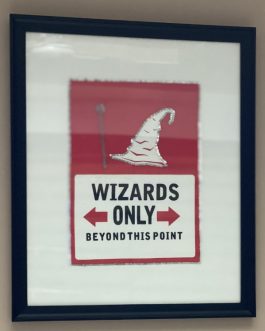 Frames  Print on fabric with embroidery  The Sorting hat